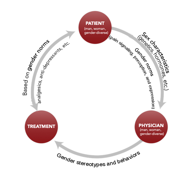 from method: how sex and gender interact, three arrows: patient, treatment and physician